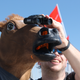Illustration for article titled Formula 1 Is More Fun In A Horse Mask